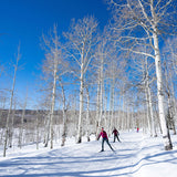 Sisu Nordic Ski Retreat - February 2026