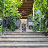 Level Up: Purpose, Play + Pura Vida in Costa Rica