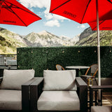 Telluride Yoga Festival - June 2026